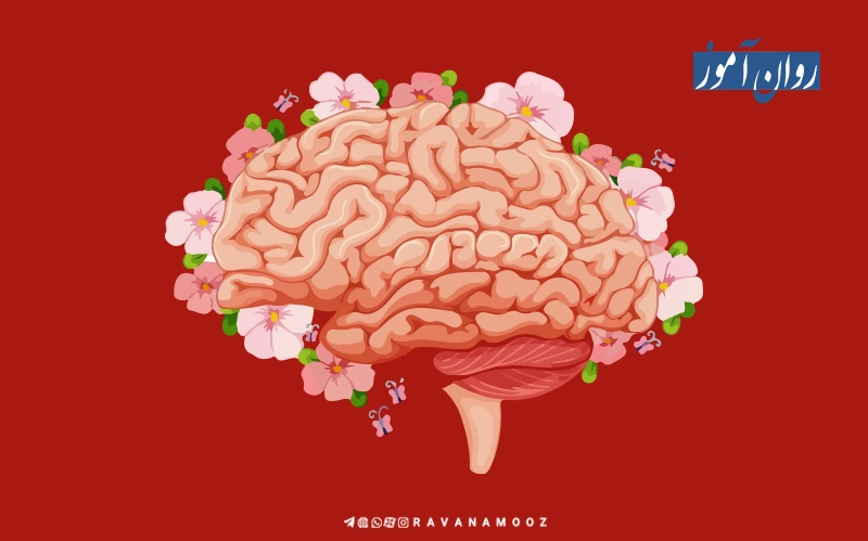 هدف علم روانشناسی چیست