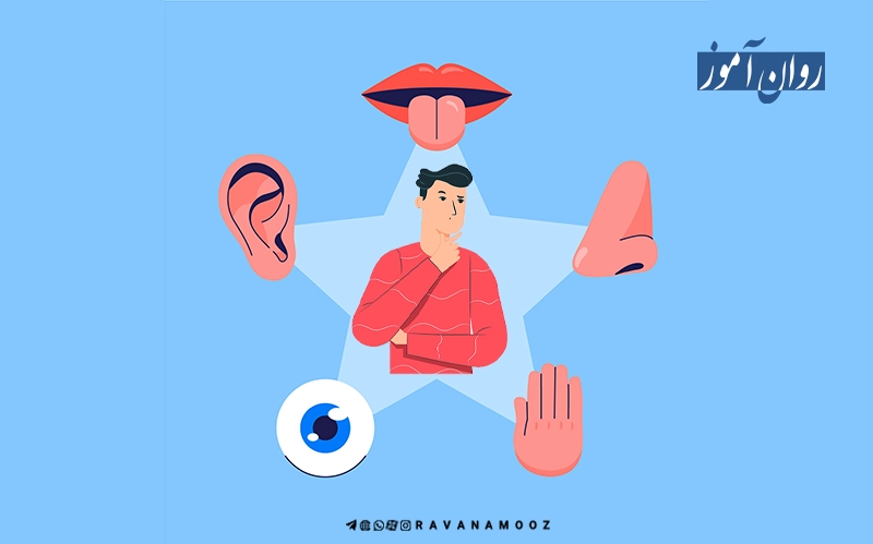 تصمیم گیری براساس حواس پنجگانه