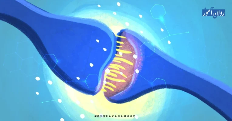 تعریف و نقش انتقال دهنده های عصبی در اختلالات روانی