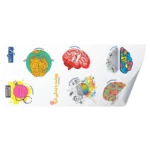 استیکر ذهن