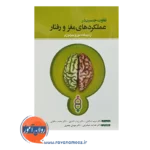 خرید کتاب تفاوت نسیتی در عملکرد مغز و رفتار از دیدگاه