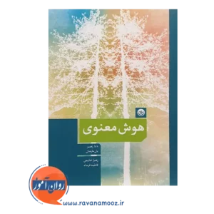 خرید و قیمت کتاب هوش معنوی ترجمه فاطمه فرساد