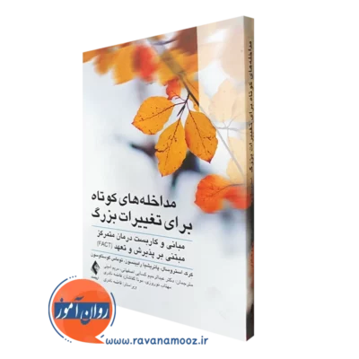 کتاب مداخله های کوتاه برای تغییرات بزرگ کرک استروسال نشر ارجمند