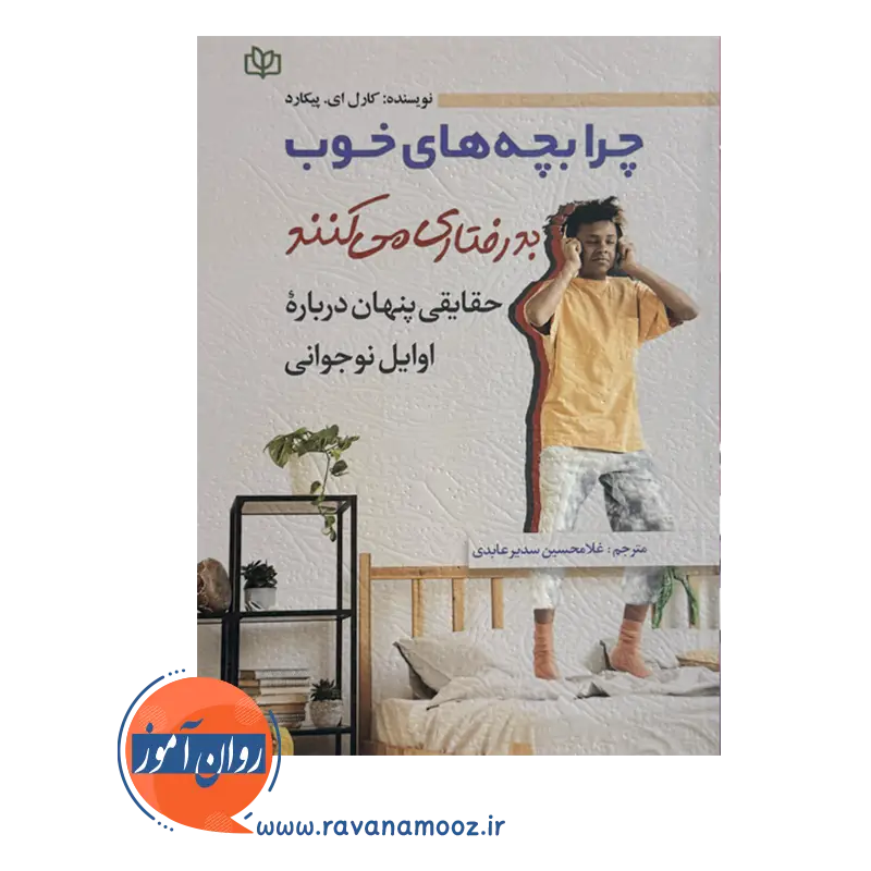 قیمت کتاب چرا بچه های خوب بدرفتاری میکنند ترجمه غلامحسین عابدی
