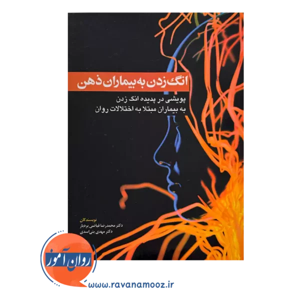 قیمت و خرید کتاب انگ زدن به بیماران ذهن انتشارات ابن سیننا