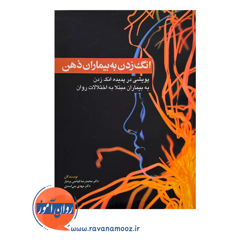 قیمت و خرید کتاب انگ زدن به بیماران ذهن انتشارات ابن سیننا