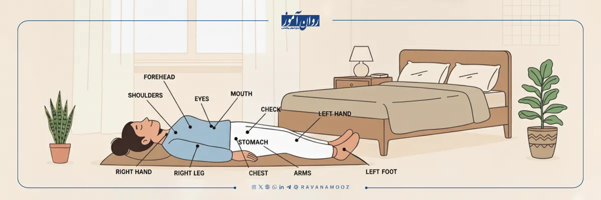 تکنیک آرام سازی عضلانی یا pmr