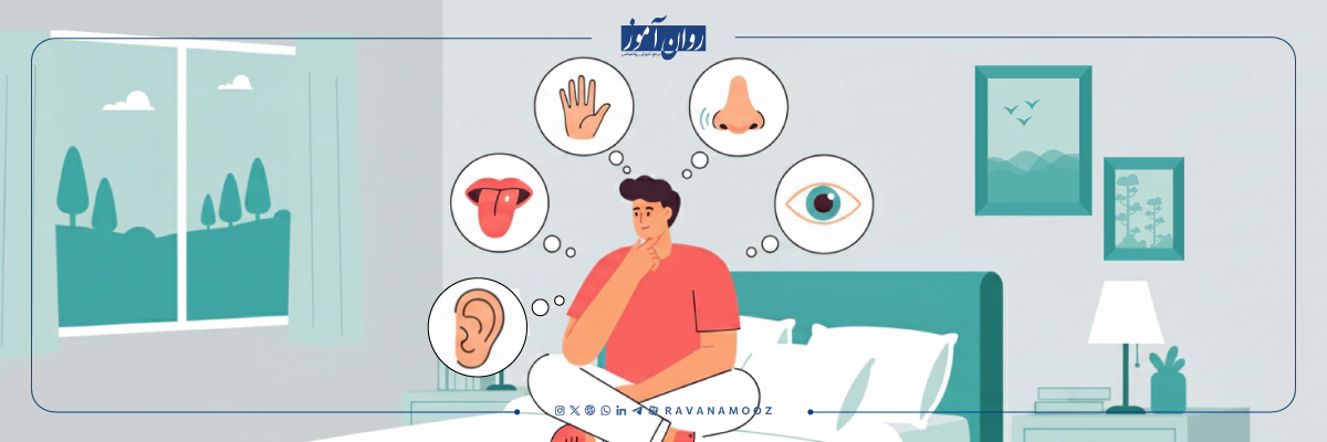 سبک های تصمیم گیری بر اساس حواس پنج گانه