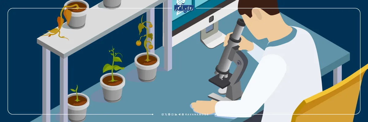 پذیرش پژوهشگر پسادکتری در ایران