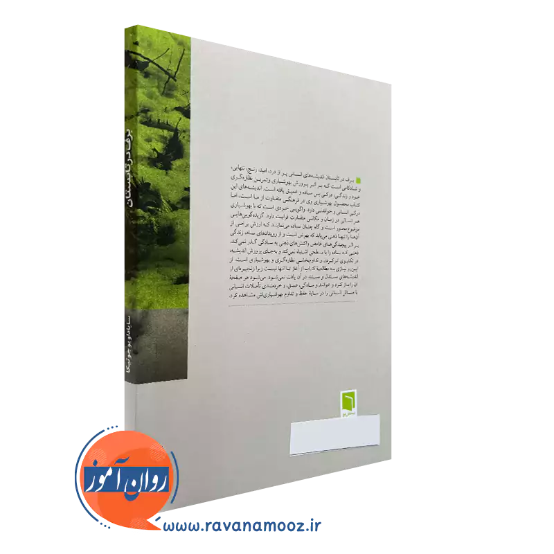 خرید کتاب برف در تابستان نیما قربانی نشر بینش نو