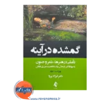 خرید و قیمت کتاب گمشده در آینه تاملی در هنرها، شعر و جنون فرزام پروا