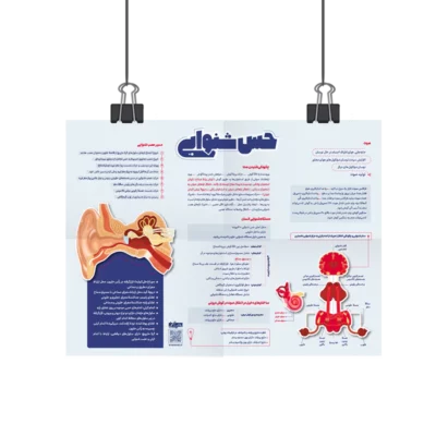 پوستر حس شنوایی