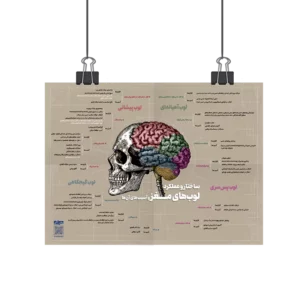 پوستر ساختار و عملکرد لوب های مغز و آسیب های آن روان آموز
