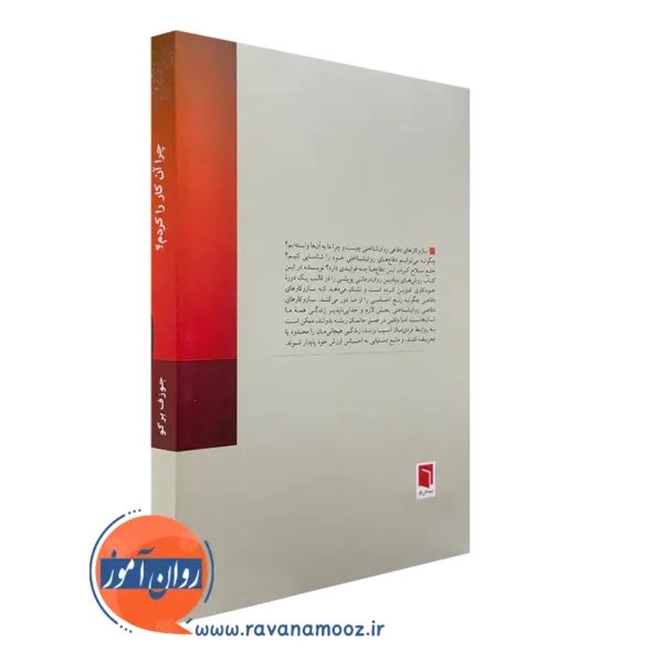 چرا آن کار را کردم؟ انتشارات بینش نو