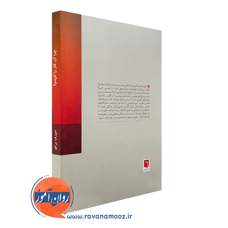 چرا آن کار را کردم؟ انتشارات بینش نو
