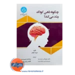 قیمت کتاب چگونه ذهن کودک رشد می کند از نشر دانشگاه تهران