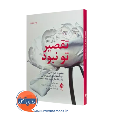 کتاب تقصیر تو نبود بورلی انگل ترجمه سروه ویسی نشر ارجمند