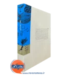 کتاب مغز اجتماعی بینش نو