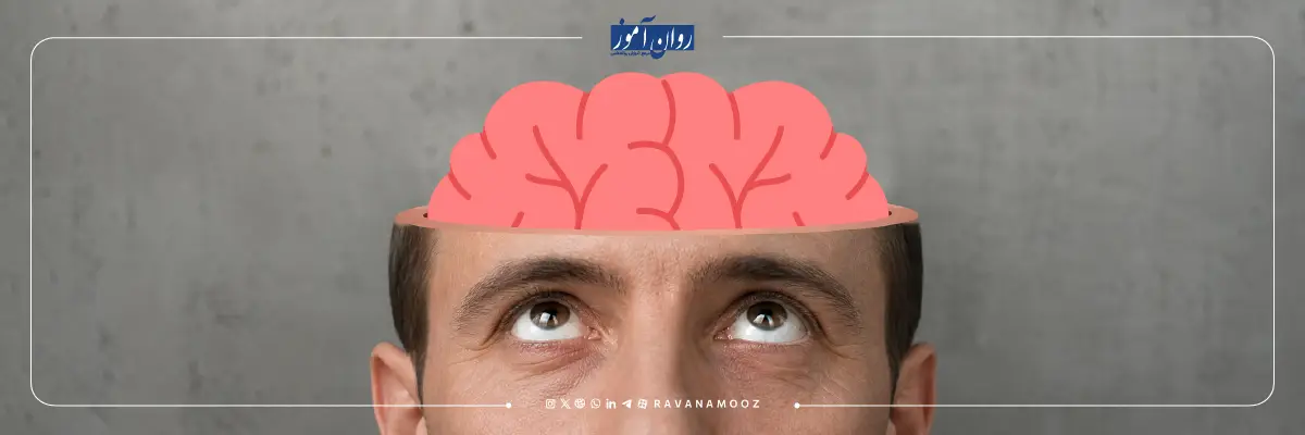 هوش چیست؟ معرفی انواع هوش و مشاغل پیشنهادی هرکدام