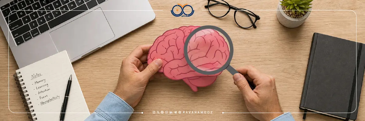 ارشد علوم شناختی گرایش ذهن مغز و تربیت